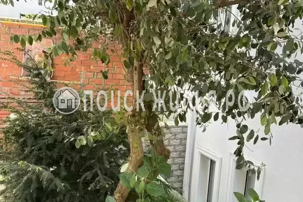 Частный сектор «Комплекс коттеджей в центре города», Сочи Частный сектор «Комплекс коттеджей в центре города», Сочи