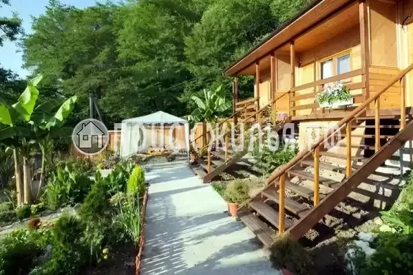 «Дача от евы»