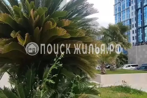 Квартира «В ЖК Сочи парк», Сочи Квартира «В ЖК Сочи парк», Сочи