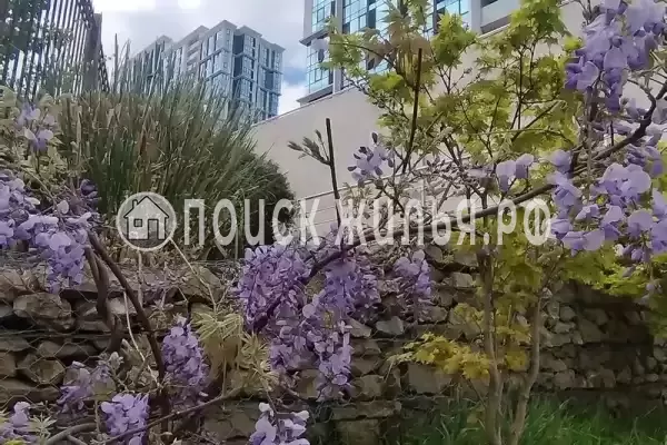 Квартира «В ЖК Сочи парк», Сочи Квартира «В ЖК Сочи парк», Сочи