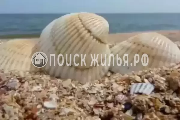 «Елена», Краснодарский край, Ильич, Советская, д.7А