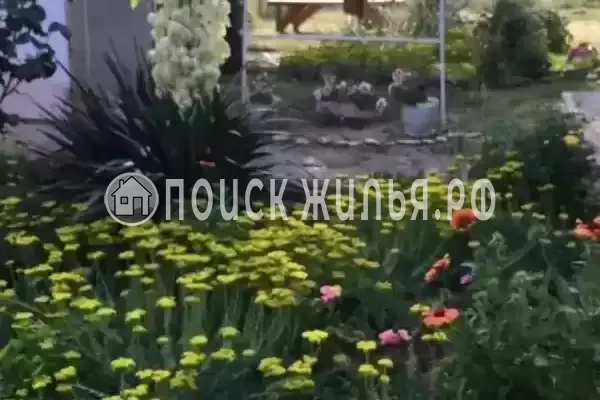 «Елена», Ильич