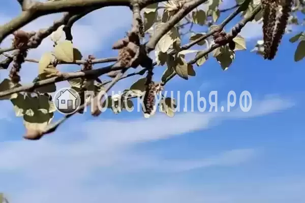 «В Ейске», Ейск