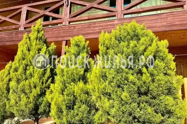 Отель «Фортуна», Пицунда Отель «Фортуна», Пицунда