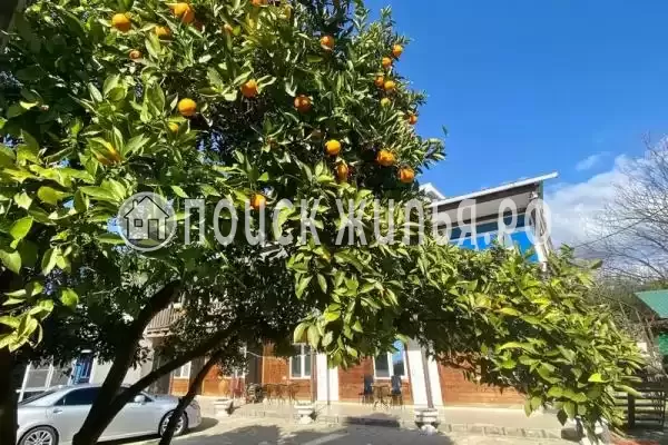 Отель «Фортуна», Пицунда Отель «Фортуна», Пицунда