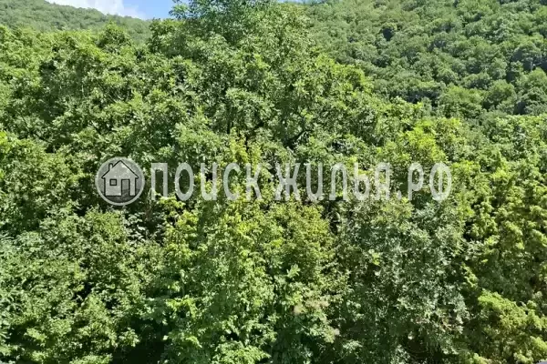 Гостевой дом «Можевеловый рай», Джубга