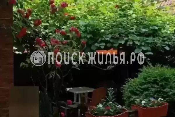 «Kivi Haus», Лазаревское