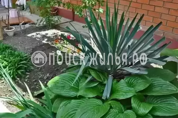 «София», Анапа