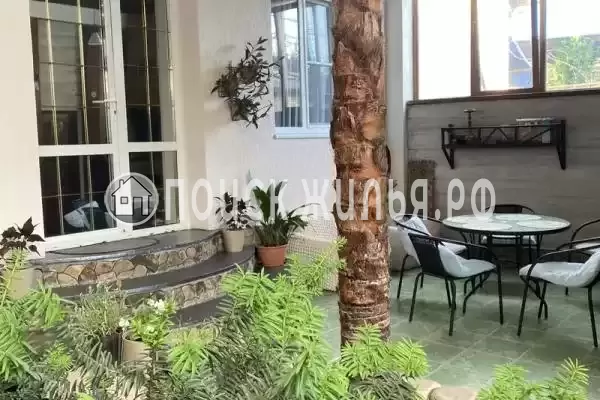 «Domlife», Сириус