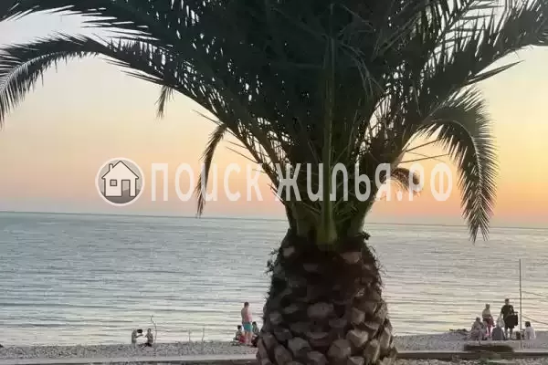 Гостевой дом «В гостях у Аллы», Новый Афон