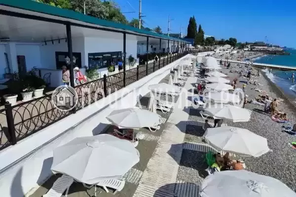 «Уют на дарвина 26», Адлер