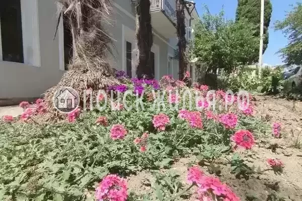 Гостевой дом «Dioskuria», Сухум