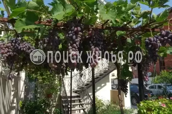 «Виктория плюс ер», Дивноморское