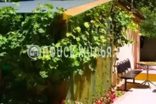 «Камелия», Голубицкая