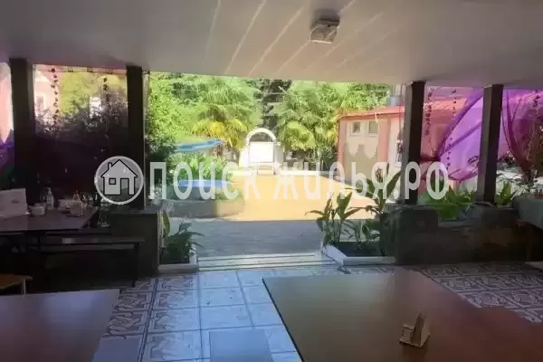 «Кредо», Шепси