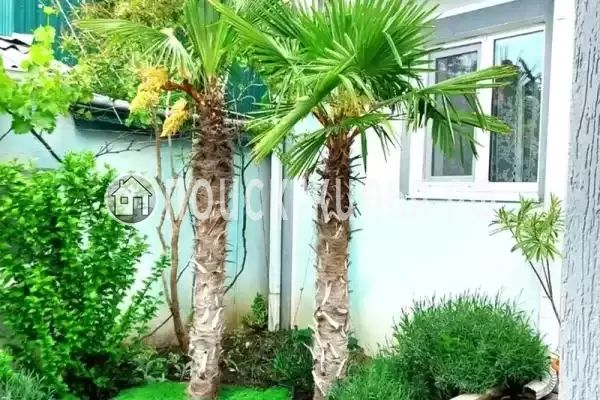 «На ленина», Геленджик