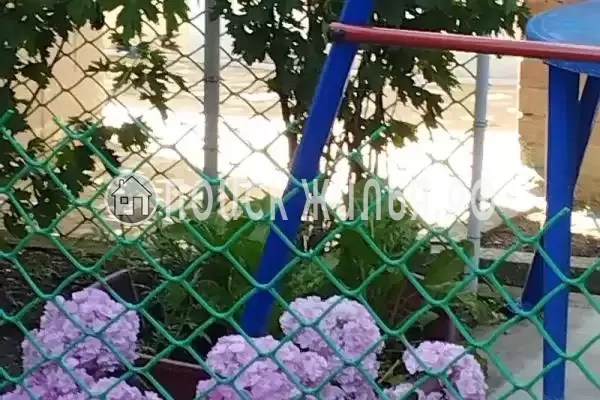 «До-Ре-Ми», Витязево «До-Ре-Ми», Витязево