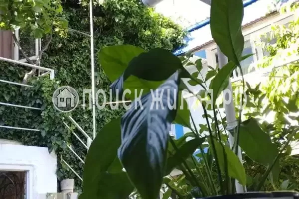 «До-Ре-Ми», Витязево «До-Ре-Ми», Витязево