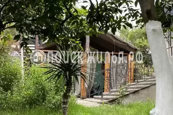 Гостевой дом «Лдзаа», Республика Абхазия, Гагры, Пицунда, Агрба, д.54