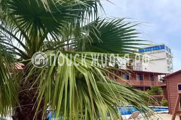 База отдыха «Relax», Лазаревское