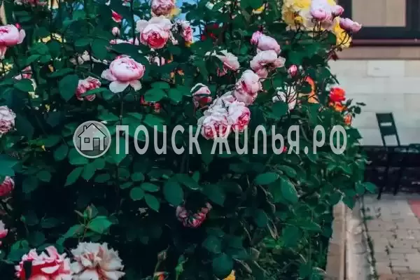 «Alta eco Villa», Геленджик