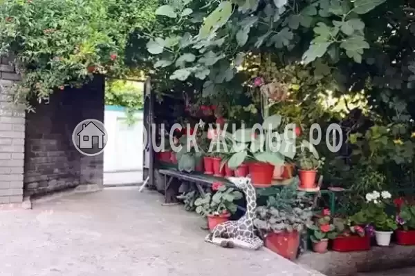 «Маринапарт», Адлер