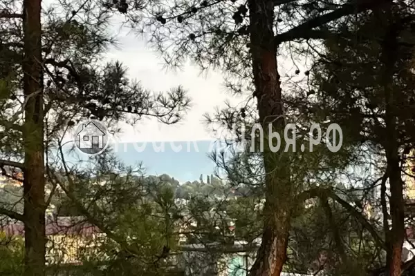 «Сказка», Лазаревское