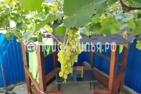 «Афалина», Витязево «Афалина», Витязево