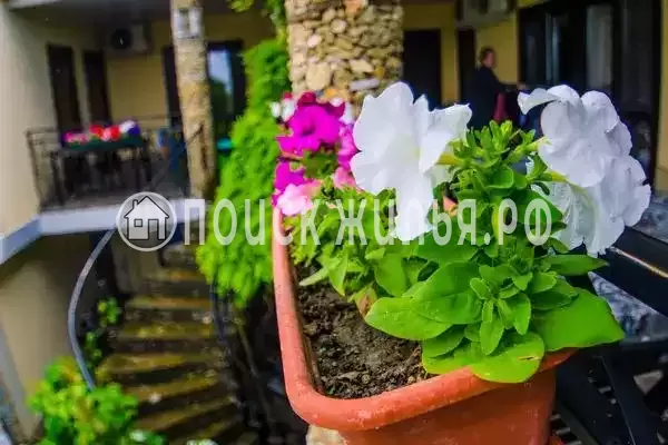 «Райская усадьба», Витязево