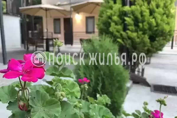 Гостевой дом «Sofia», Республика Абхазия, Сухум, 1 тупик  Титова, д.10