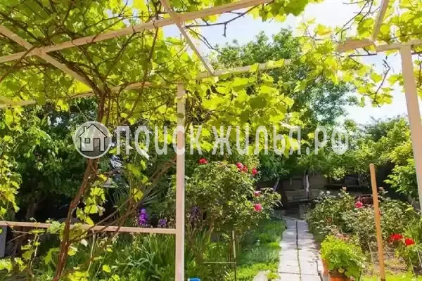 «Бетта», Бетта