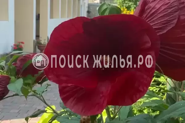 «Веранда», Судак «Веранда», Судак