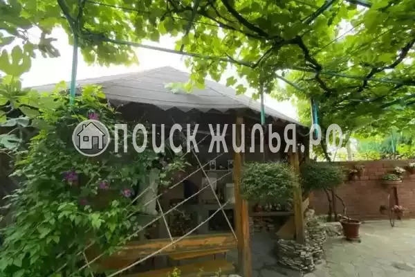 «Инжир», Новомихайловский