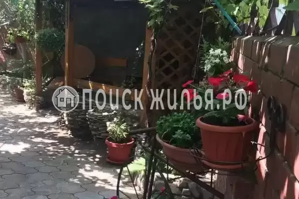 «Инжир», Новомихайловский