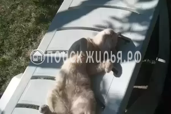 Частный сектор «Вита», Голубицкая