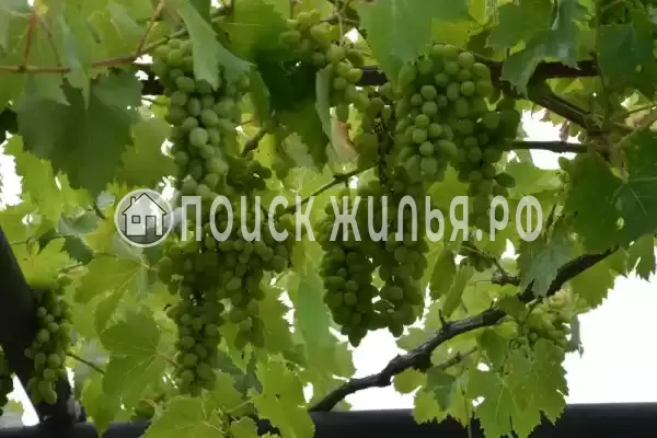 Частный сектор «Вита», Голубицкая