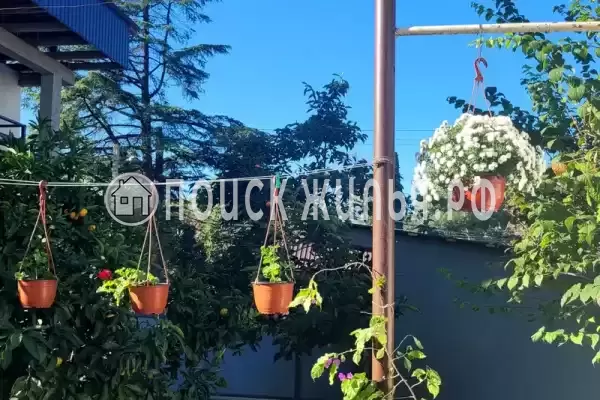 Гостевой дом «Анна-мария», Гагра