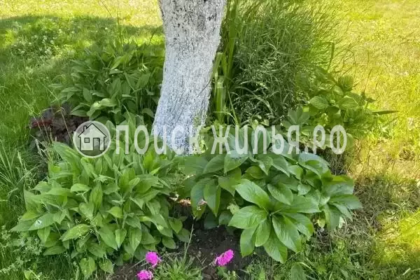 Частный сектор «Дача у моря с выходом на дикий пляж», Криница