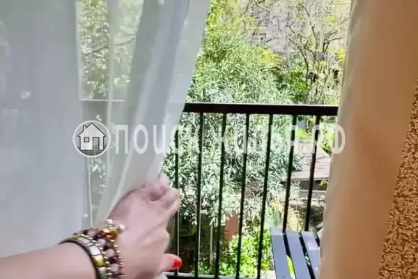 «Цитруs», Адлер