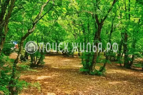 «Можжевеловая роща», Краснодарский край, Кабардинка, Революционная, д.105 «Можжевеловая роща», Краснодарский край, Кабардинка, Революционная, д.105