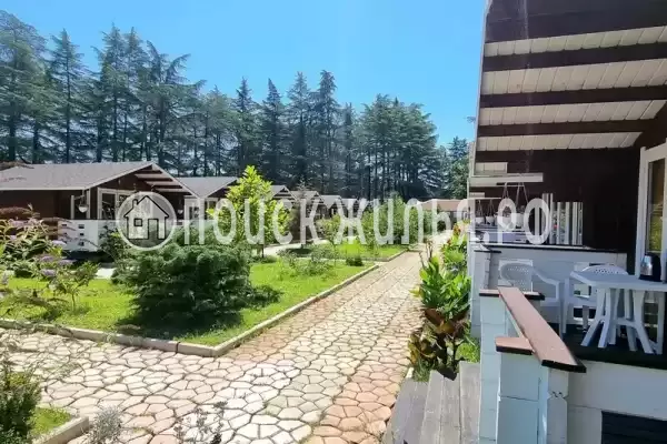 Частный сектор «Eco House Pitiunt», Пицунда Частный сектор «Eco House Pitiunt», Пицунда