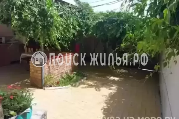 «Кипарис», Новый Свет