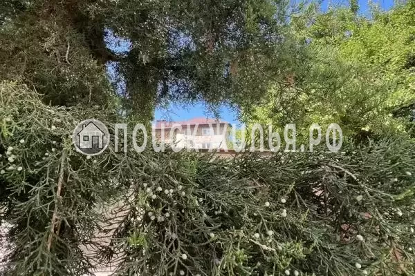 «У моря 9 граней», Анапа