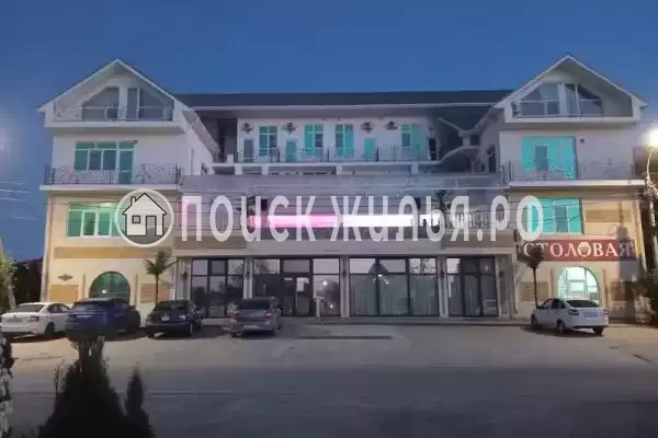 «Верона», Голубицкая