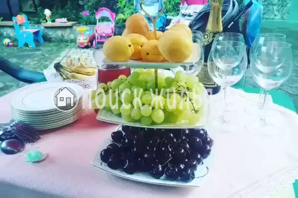 «Вега», Феодосия