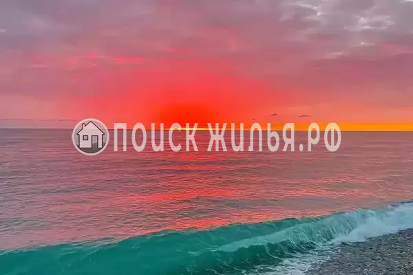 «Венера», Судак