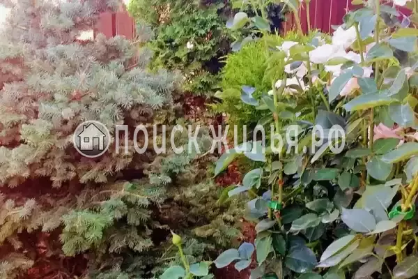 Частный сектор «Семейный Люкс», Витязево