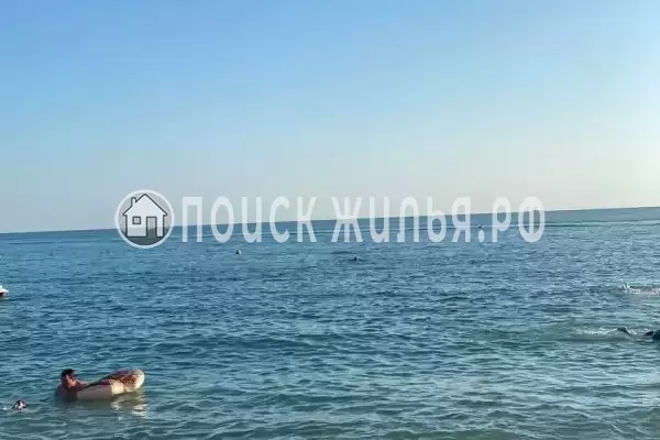 «На лесной», Шепси «На лесной», Шепси