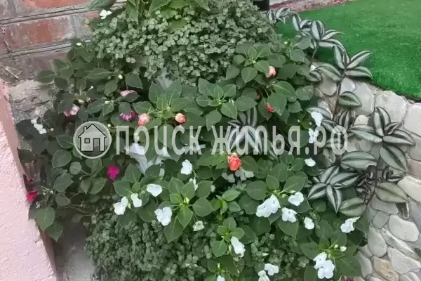 Частный сектор «Тихое местечко», Дедеркой