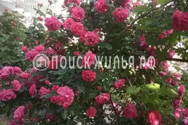 Частный сектор «Дом на Радужной 9», Краснодарский край, Анапа, Сукко, , д. Частный сектор «Дом на Радужной 9», Краснодарский край, Анапа, Сукко, , д.